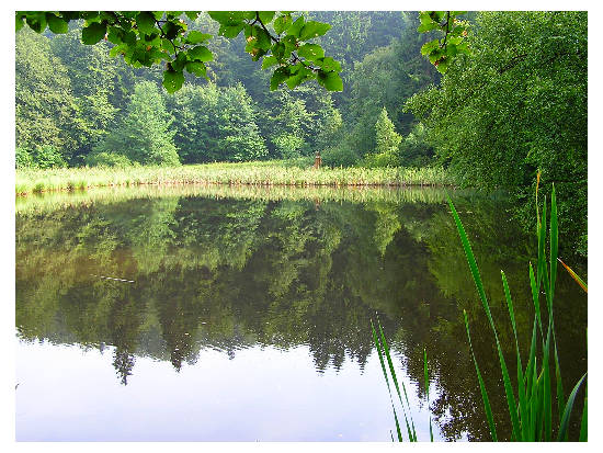 Frau-Holle-Teich, am hinteren Ufer steht Frau Holle